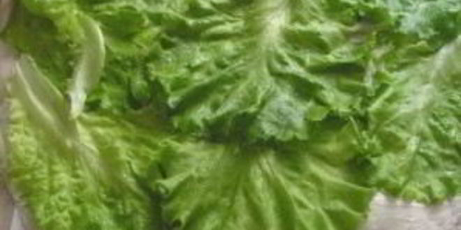 Рецепт шаурмы в лаваше с курицей