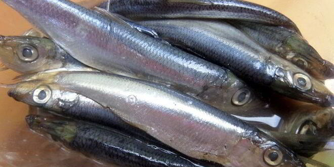 Рецепт суш по-русски