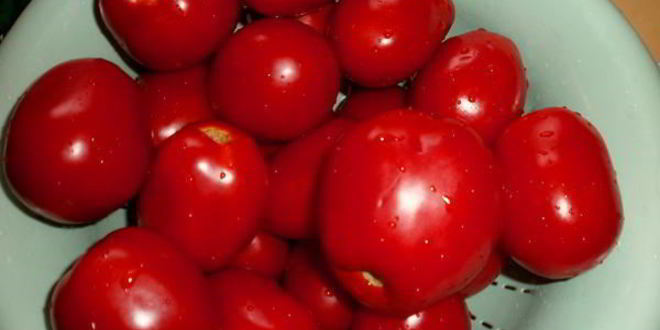 Рецепт вяленых помидоров в электросушилке