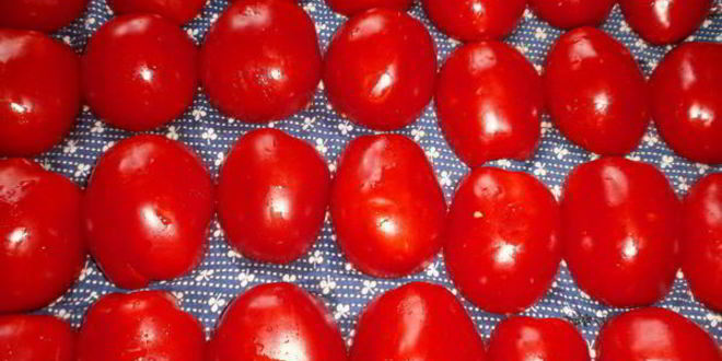Рецепт вяленых помидоров в электросушилке