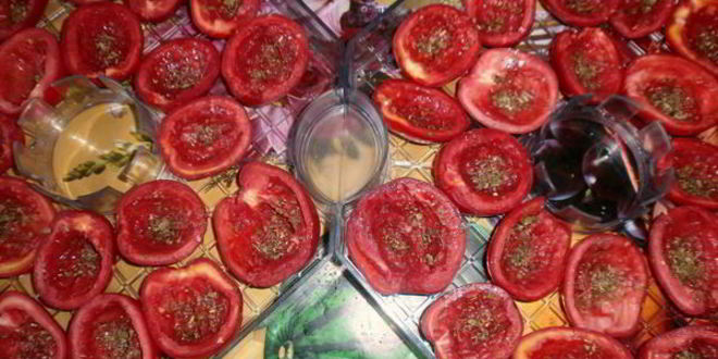 Рецепт вяленых помидоров в электросушилке