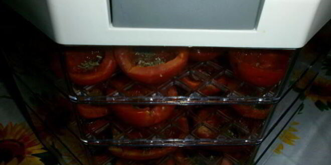 Рецепт вяленых помидоров в электросушилке
