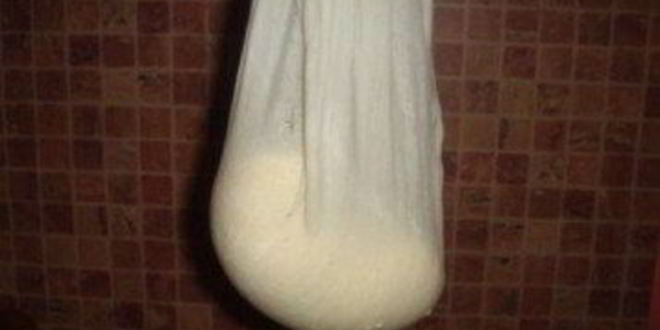 Рецепт сыра из творога