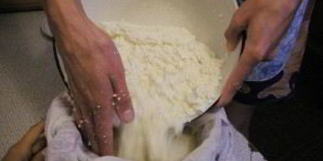 Рецепт сыра с дырками