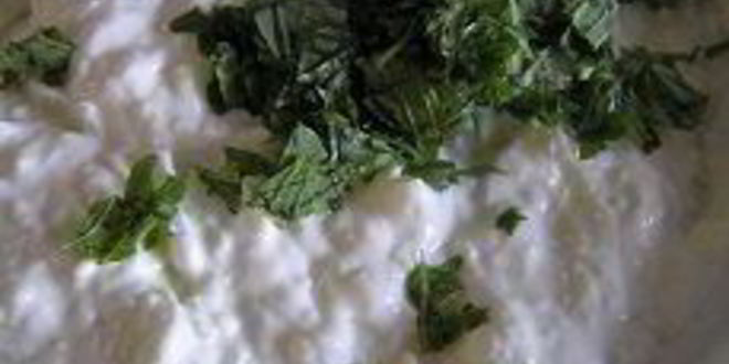 Рецепт тарталеток с сырным кремом и мятой