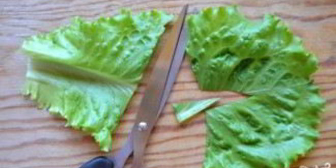 Рецепт закуски с креветками в тарталетках