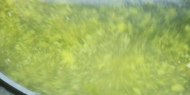 Рецепт лимонного тарта