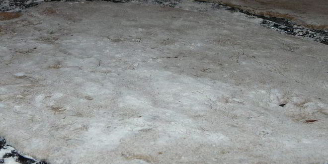 Рецепт тарта фламбе с помидорами и крем-шпинатом