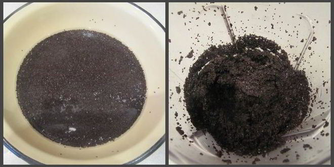 Рецепт тарта с маком, творогом и яблоками