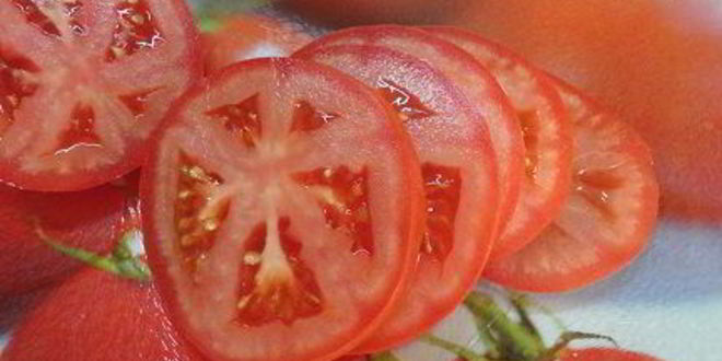 Рецепт тостов с кабачком и томатами