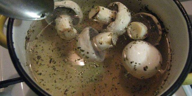 Рецепт закуски цыплята