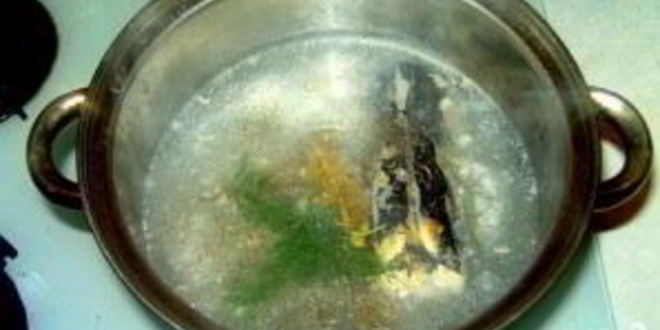 Рецепт заливной щуки