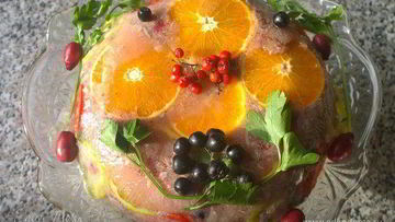 Рецепт Праздничного заливного из утки с брусникой Утиная история