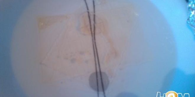 Рецепт сильно рыбного заливного