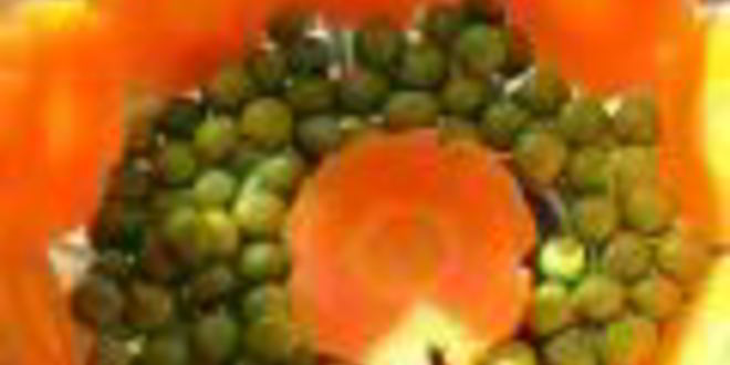 Рецепт заливного из куриных грудок