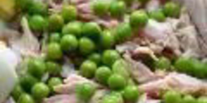 Рецепт заливного из куриных грудок