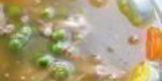 Рецепт заливного из куриных грудок