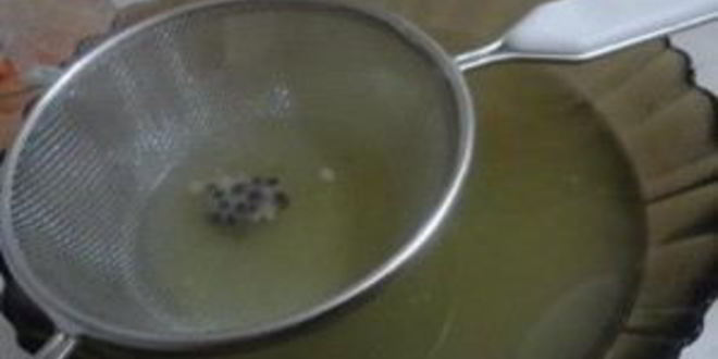 Рецепт заливного из рыбы и креветок