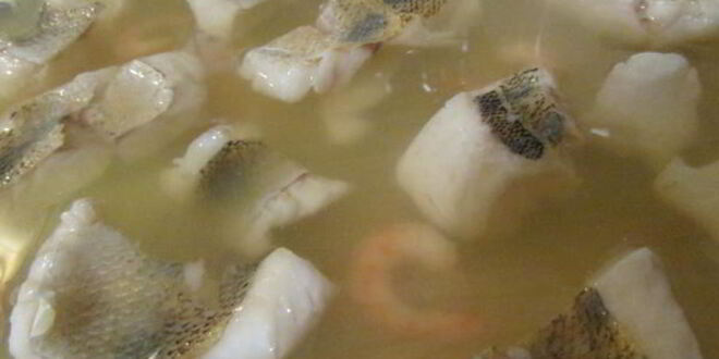 Рецепт заливного из судака и креветок