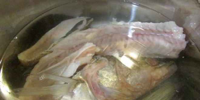 Рецепт заливного из судака и креветок