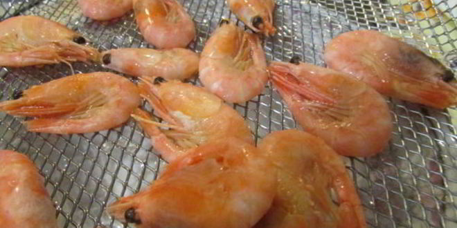 Рецепт заливного из судака и креветок