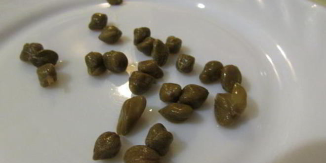 Рецепт заливного из судака и креветок