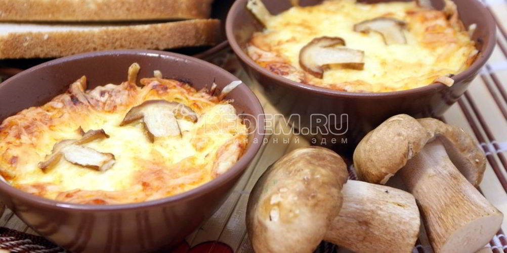 Как приготовить жульена из белых грибов