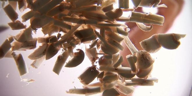 Рецепт жюльена из грибов в волованах