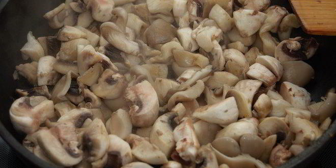 Рецепт жюльена из индейки и грибов