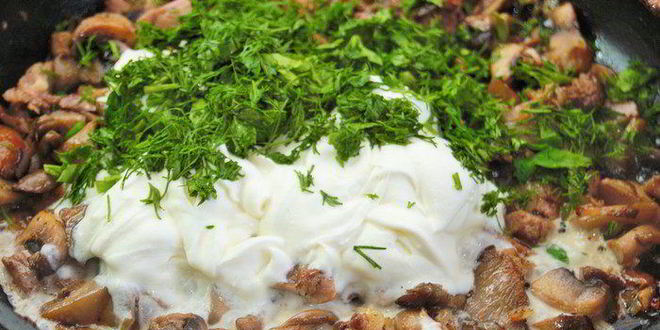 Рецепт жюльена из индейки и грибов