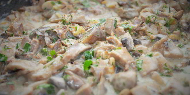 Рецепт жюльена из индейки и грибов