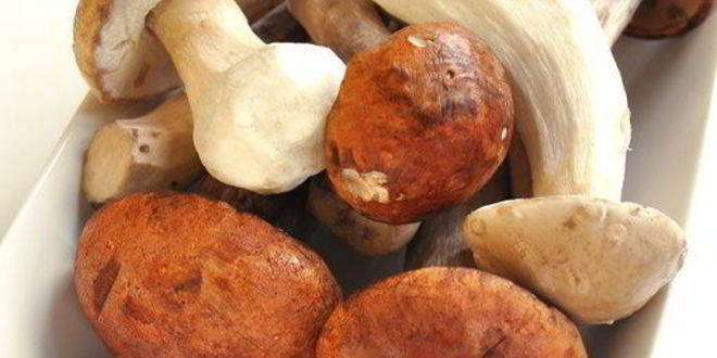 Рецепт жюльена из лесных грибов