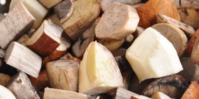 Рецепт жюльена из лесных грибов