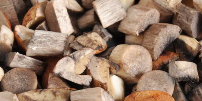 Рецепт жюльена из лесных грибов