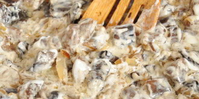 Рецепт жюльена из лесных грибов