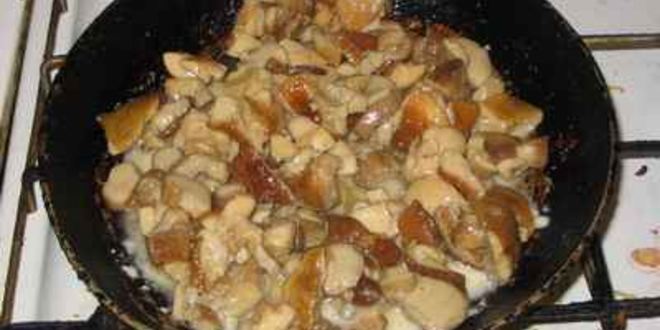 Рецепт жюльена из языка с грибами