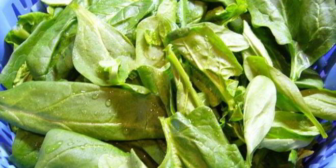 Рецепт жюльена с грибами и шпинатом