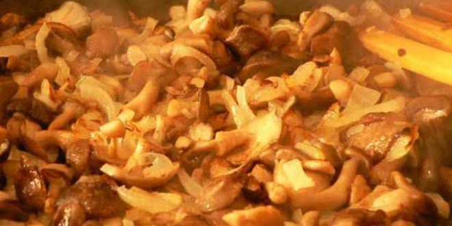 Рецепт жюльена с куриным филе и грибами