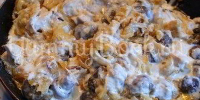 Рецепт жюльена с курицей и шампиньонами
